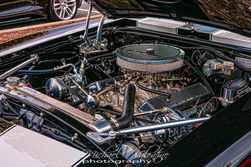 JJ3_8624-Edit
